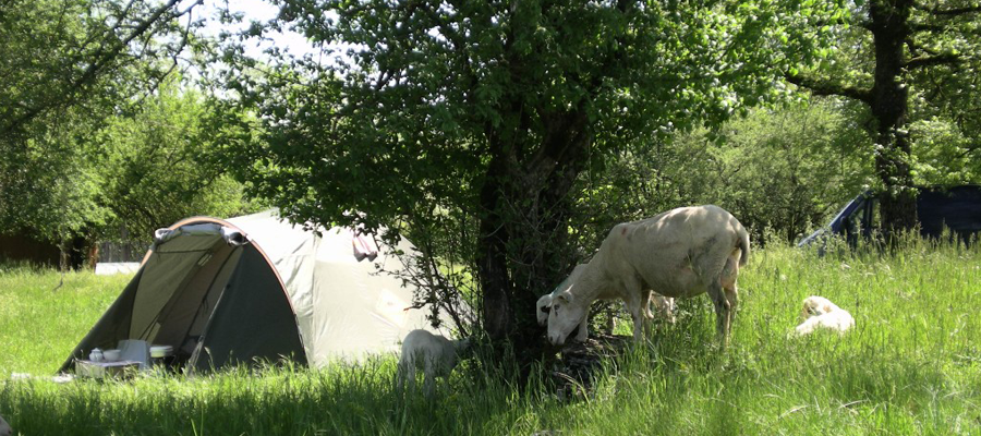 un camping à la ferme